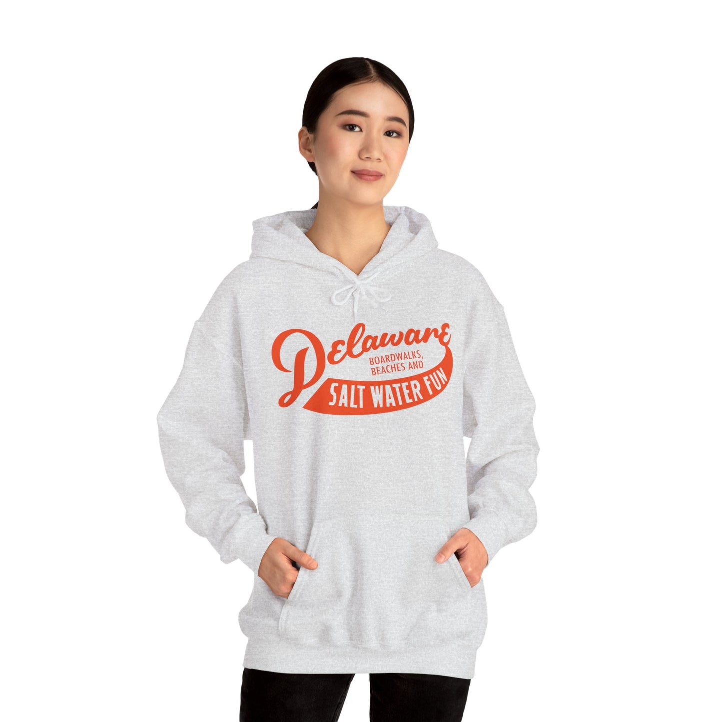 Delaware Salt Water Fun Hoodie