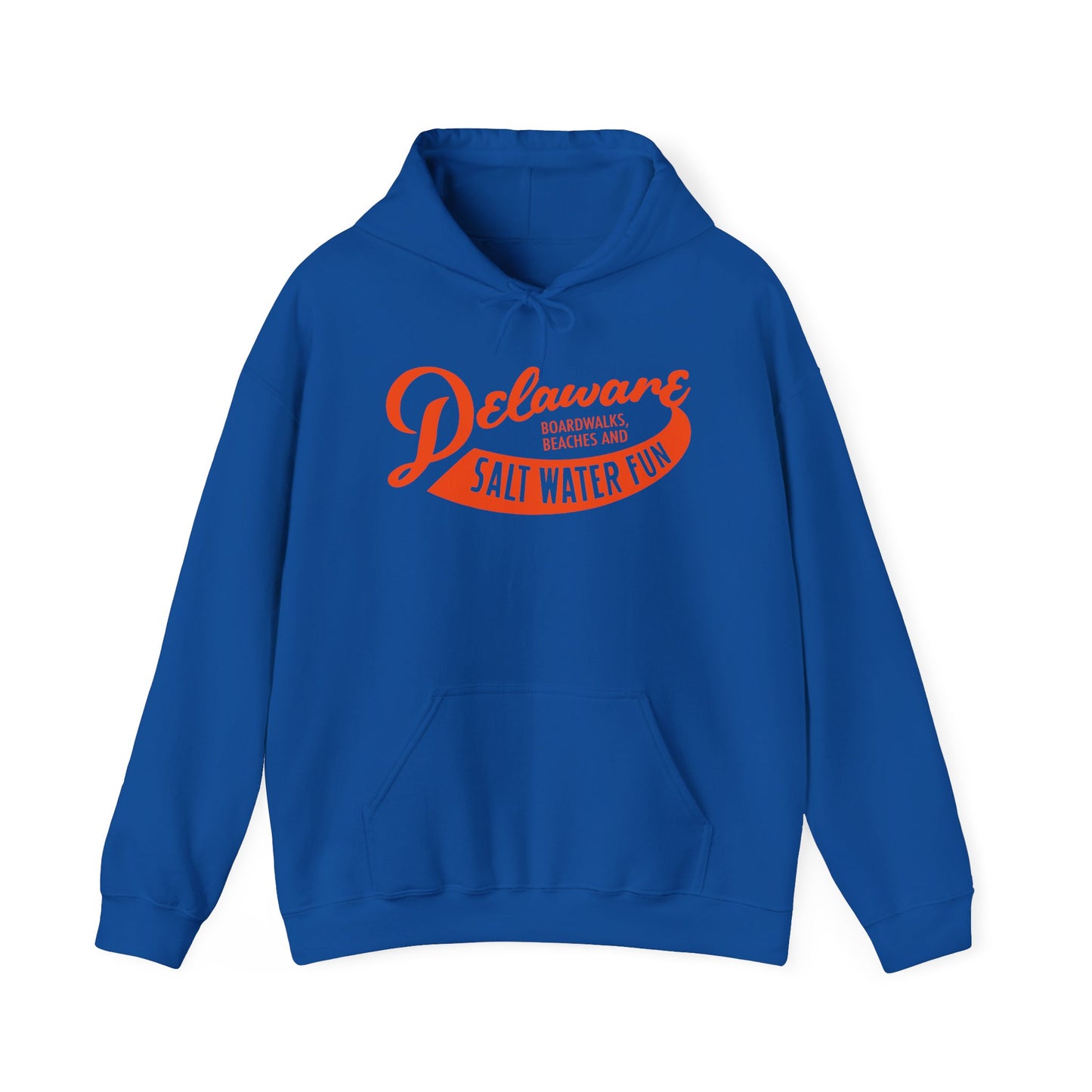 Delaware Salt Water Fun Hoodie