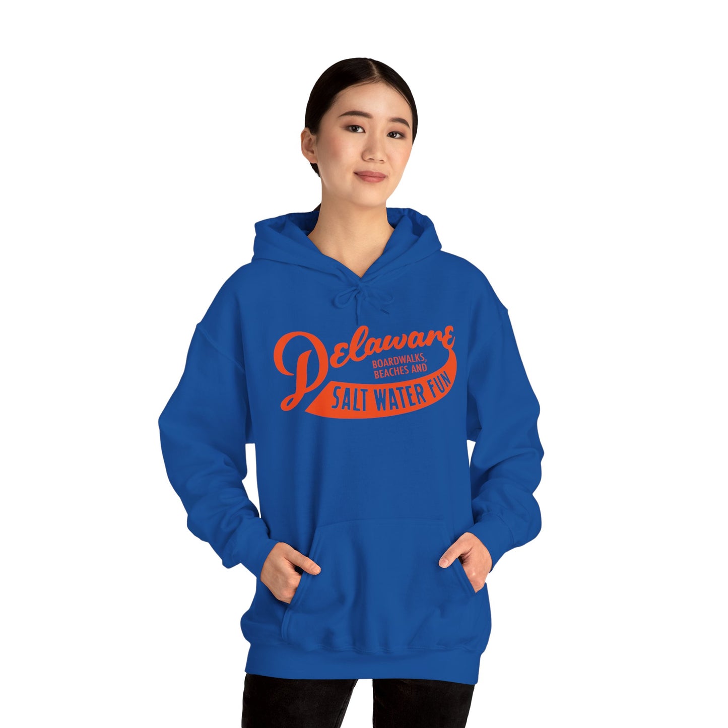 Delaware Salt Water Fun Hoodie