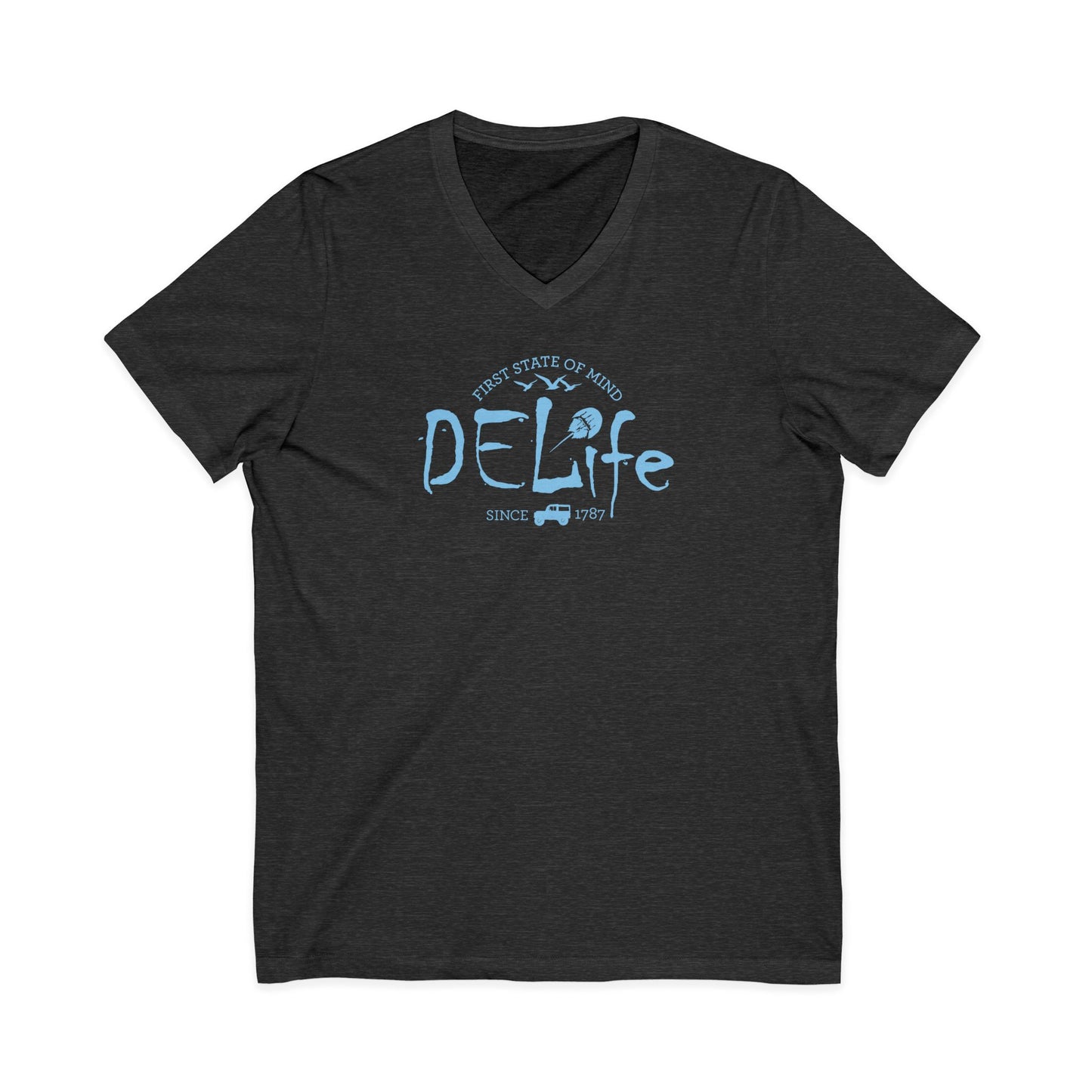 Delaware DELife V-Neck Tee