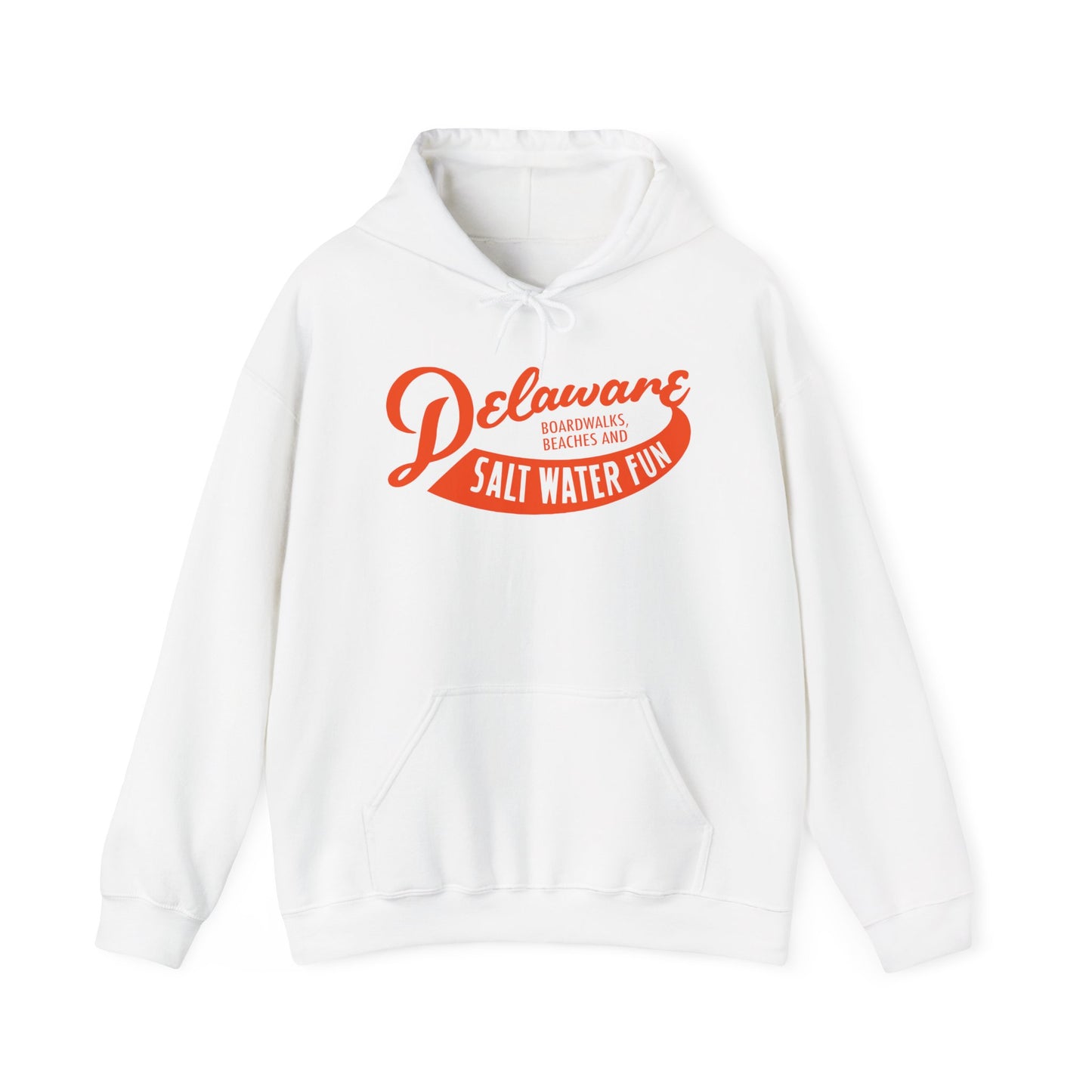 Delaware Salt Water Fun Hoodie