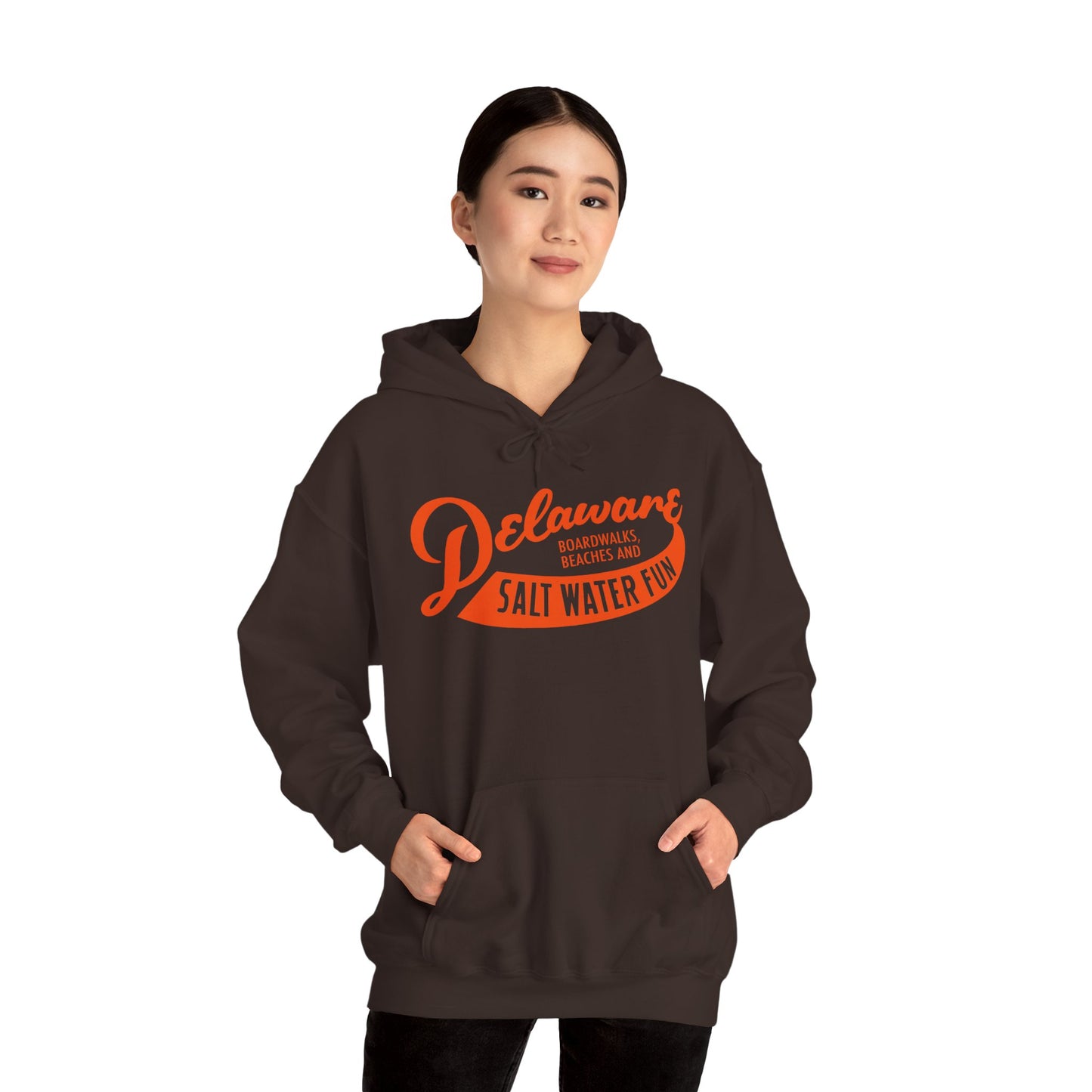Delaware Salt Water Fun Hoodie