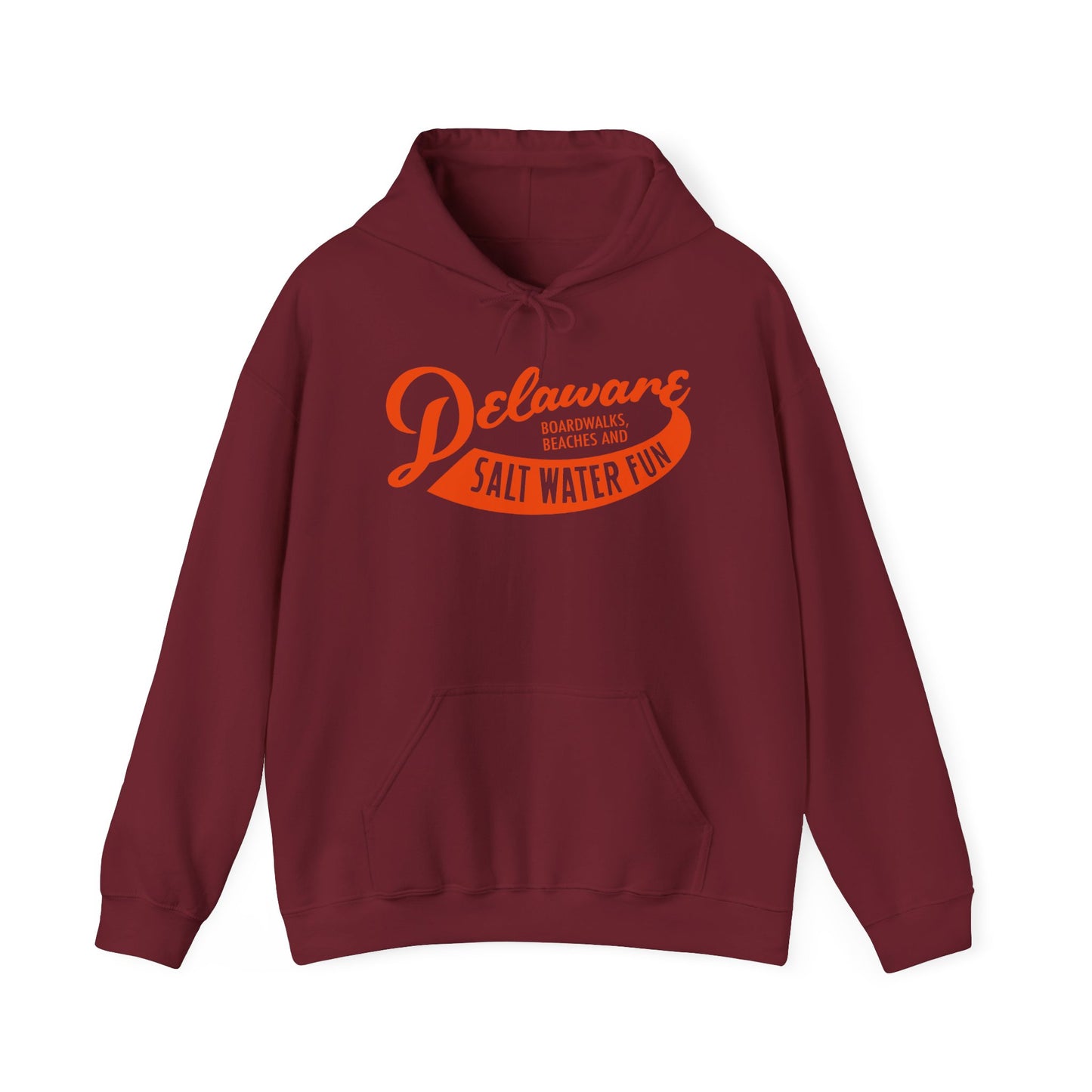 Delaware Salt Water Fun Hoodie