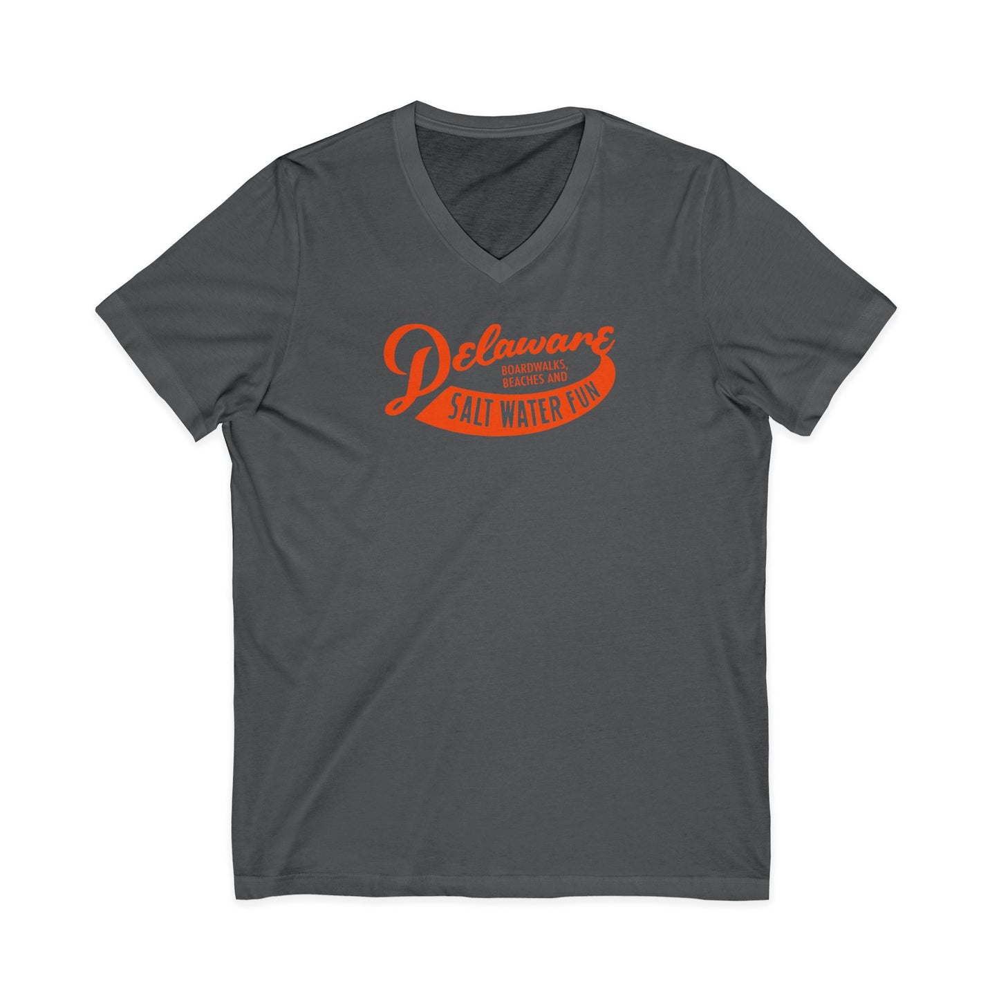 Delaware Salt Water Fun V-Neck Tee