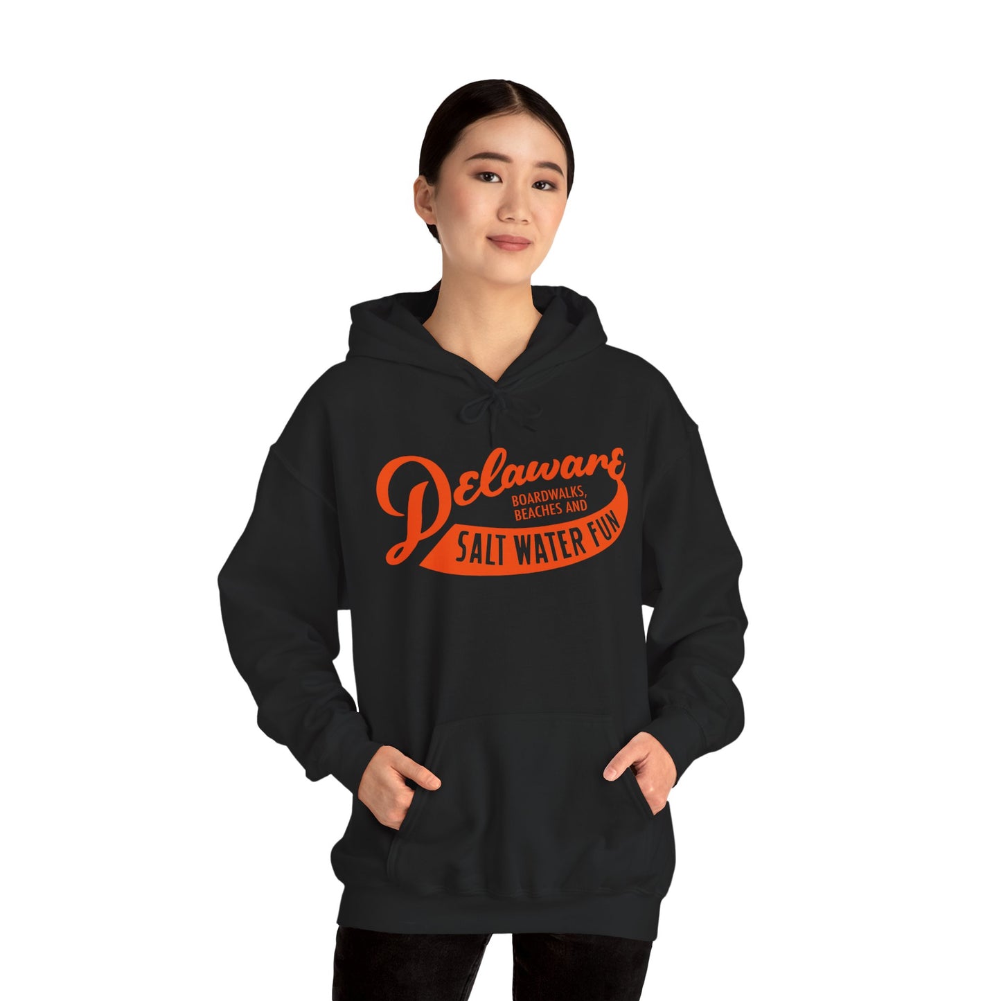 Delaware Salt Water Fun Hoodie
