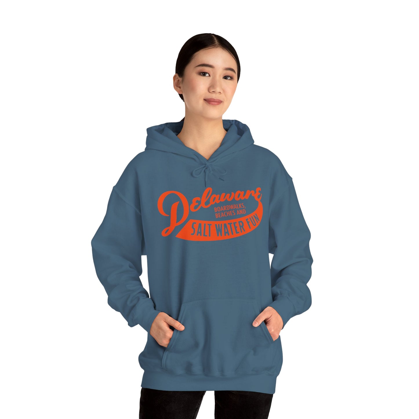 Delaware Salt Water Fun Hoodie