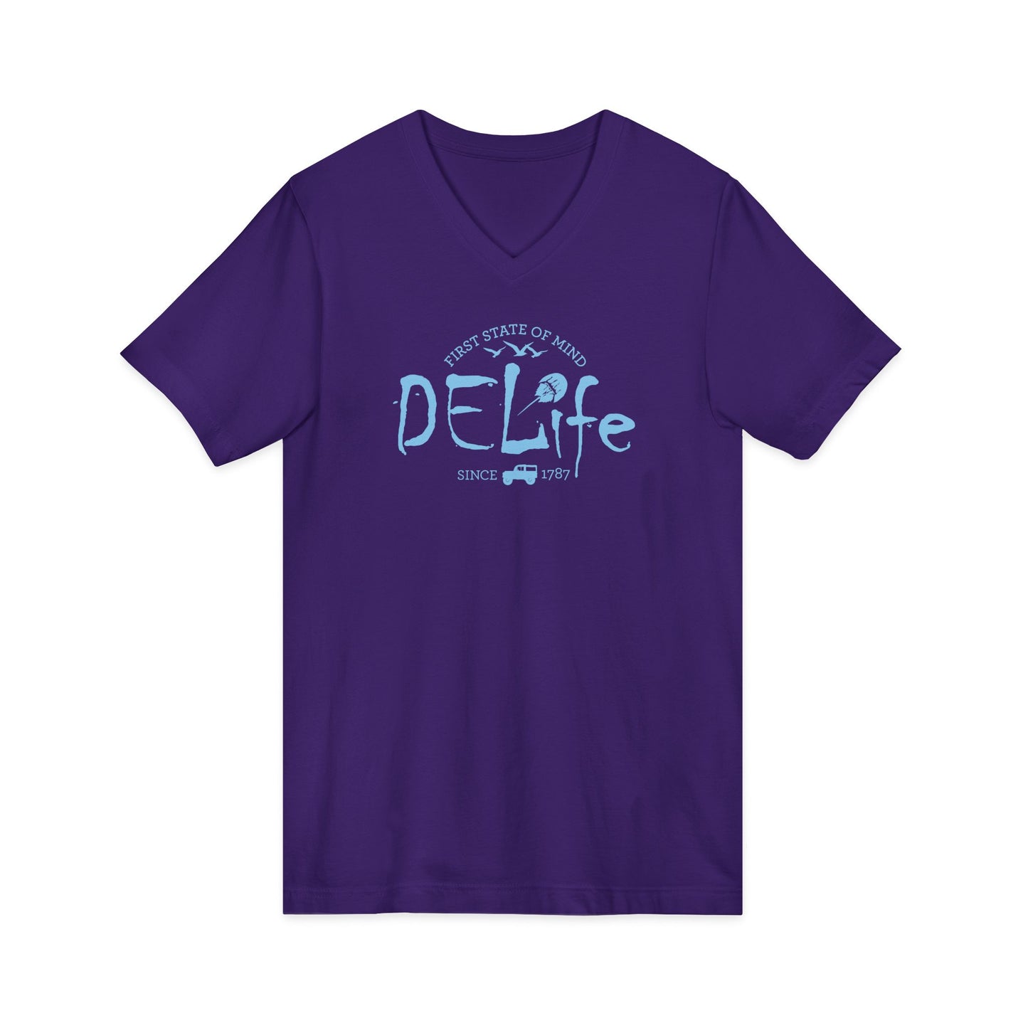 Delaware DELife V-Neck Tee