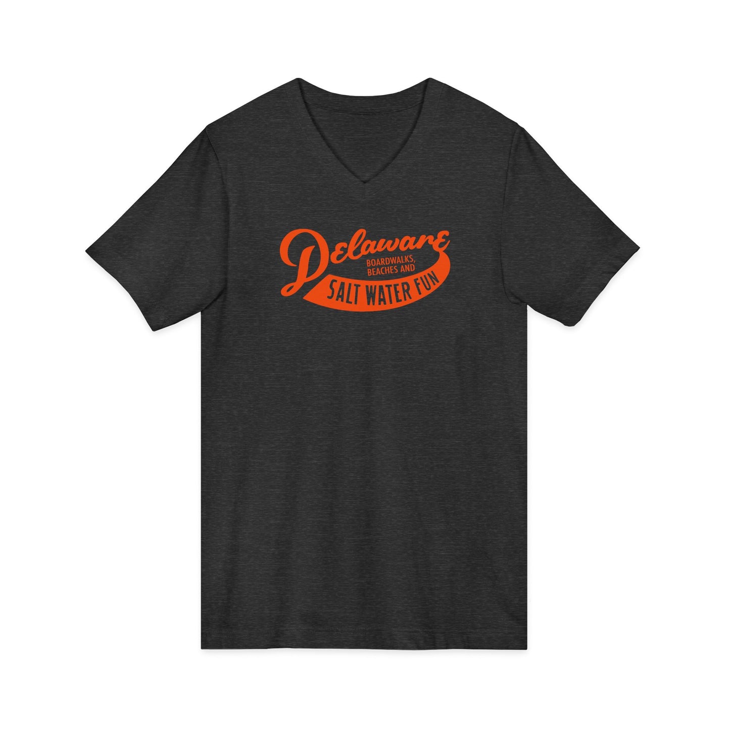Delaware Salt Water Fun V-Neck Tee