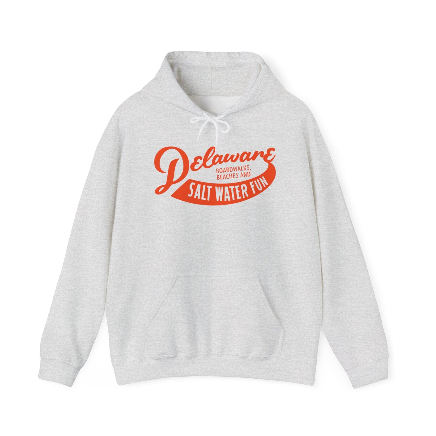 Delaware Salt Water Fun Hoodie